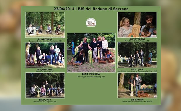 Sasso Chopper 3° classificato Best in Show.
