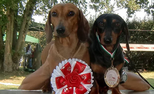 Chopper e Ubi pensano che le medaglie non son buone da mangiare