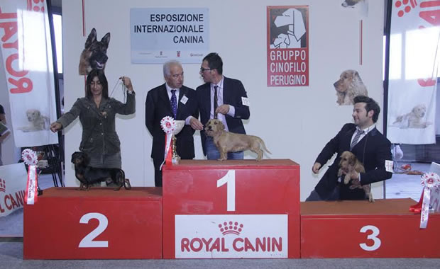 Ubi Maior del Sasso 2°classificato gruppo 4
